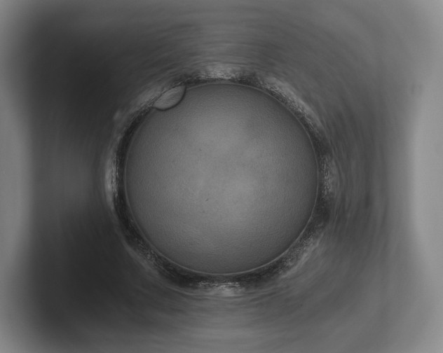 X0000101950683200807251135