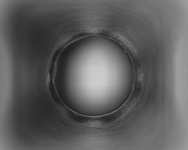 X0000101950685200807251135