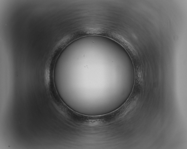 X0000101950686200807251135