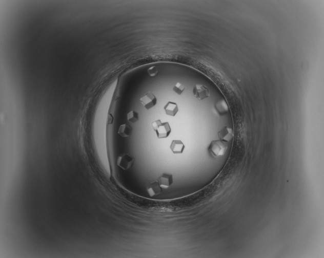 X0000101950687200807251135