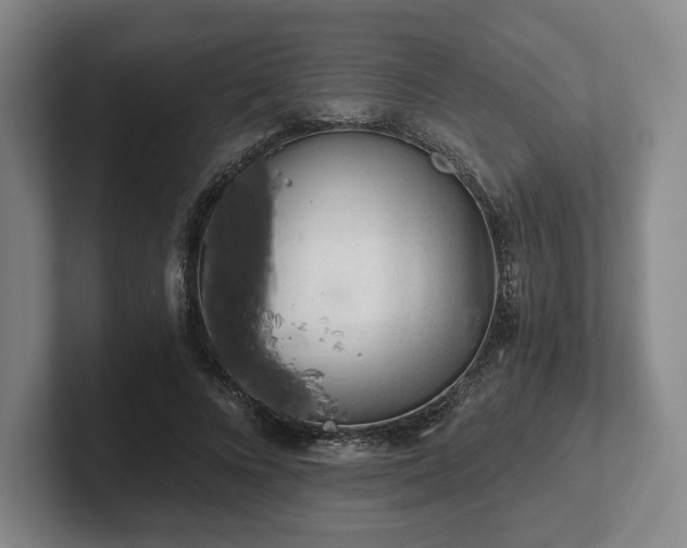 X0000101950688200807251135