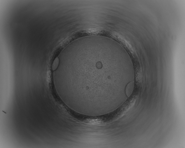 X0000101950689200807251135