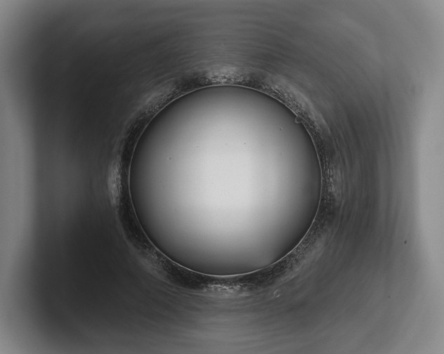 X0000101950690200807251135