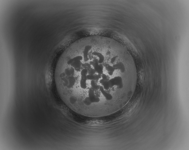 X0000101950691200807251135