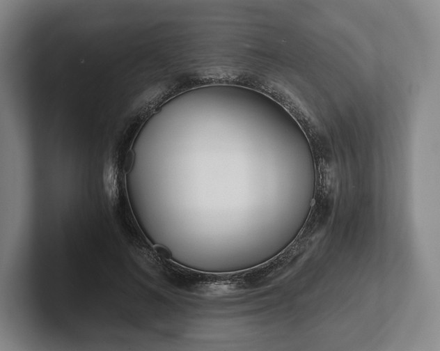 X0000101950692200807251135