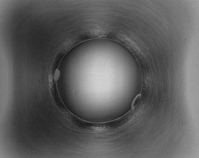 X0000101950693200807251135