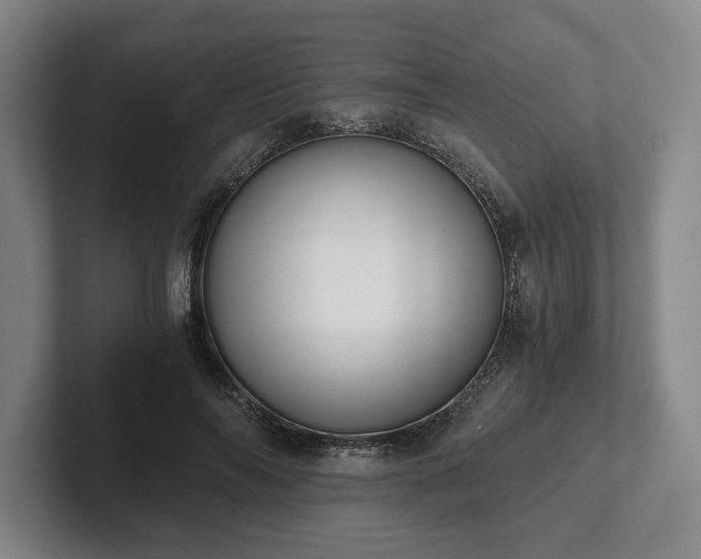 X0000101950694200807251135