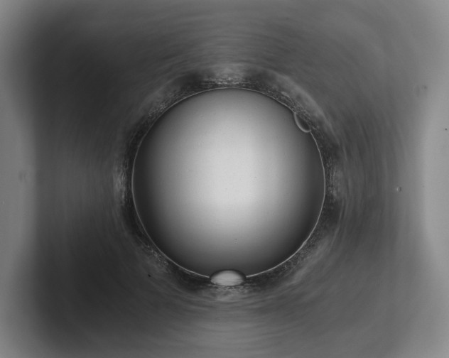 X0000101950697200807251135