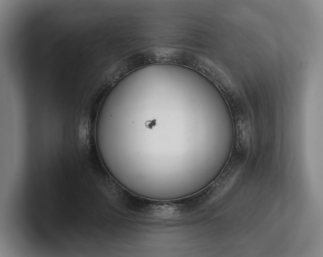 X0000101950698200807251134