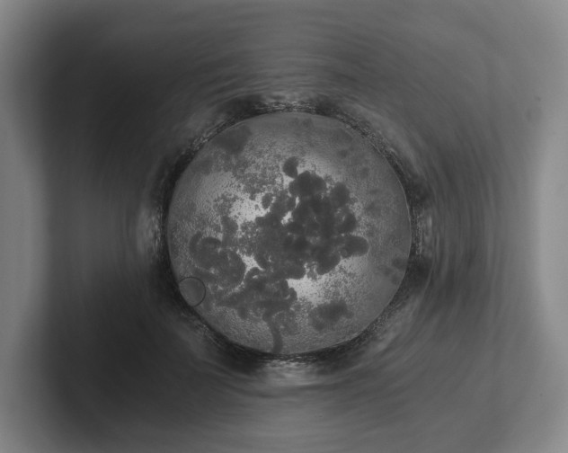 X0000101950699200807251134