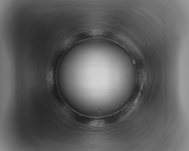 X0000101950700200807251134