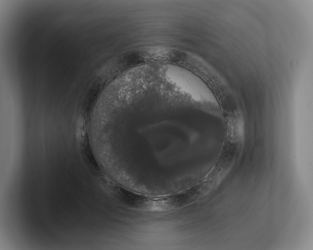 X0000101950701200807251134