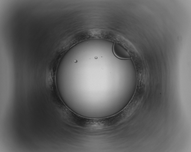 X0000101950702200807251134