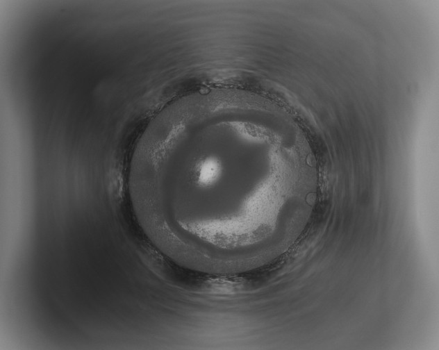 X0000101950703200807251134