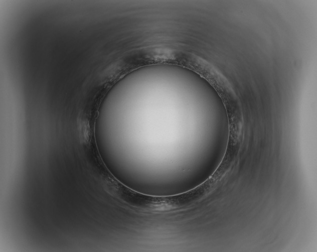 X0000101950704200807251134