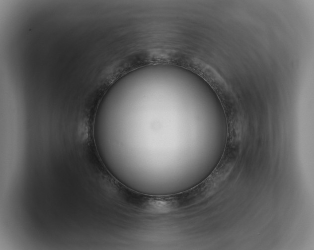 X0000101950706200807251134