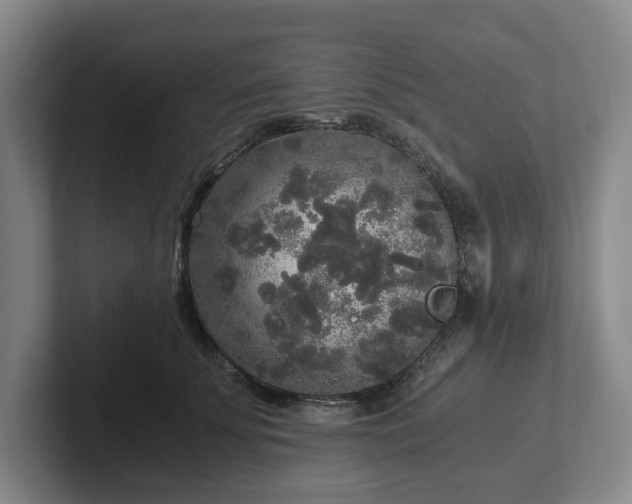 X0000101950707200807251134