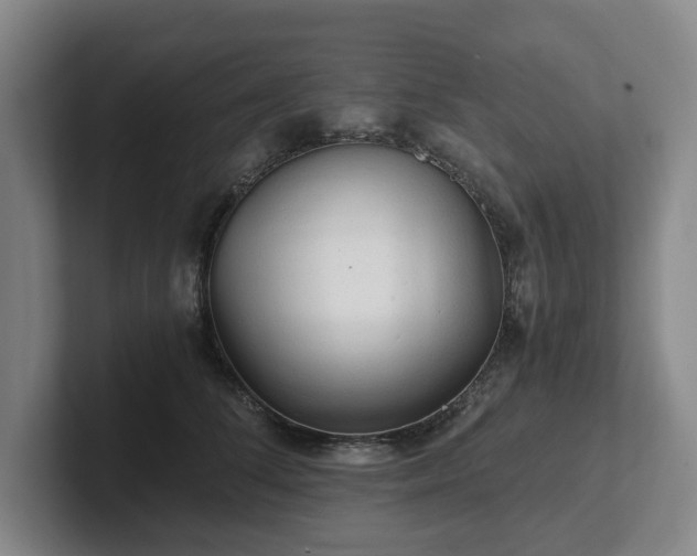 X0000101950708200807251134