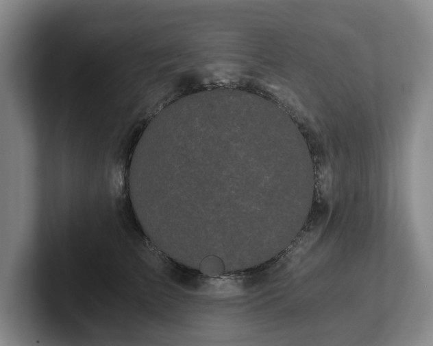 X0000101950709200807251134