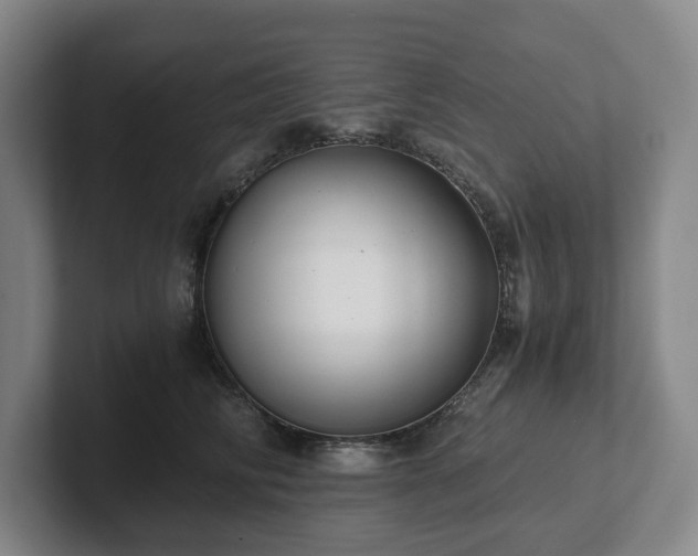 X0000101950710200807251134