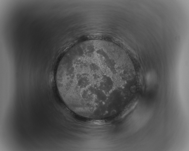 X0000101950711200807251134