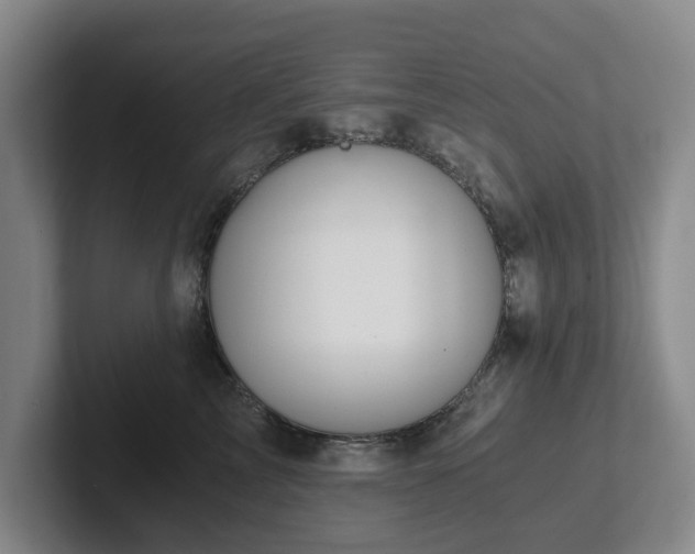 X0000101950713200807251134