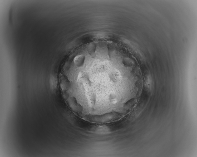 X0000101950715200807251134