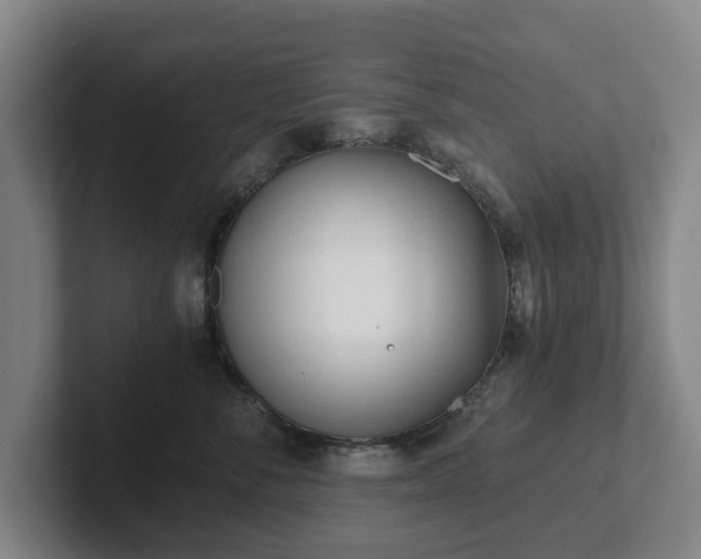 X0000101950716200807251134