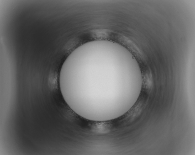 X0000101950717200807251134