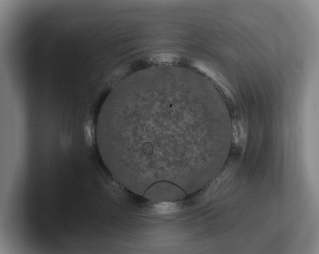 X0000101950718200807251134