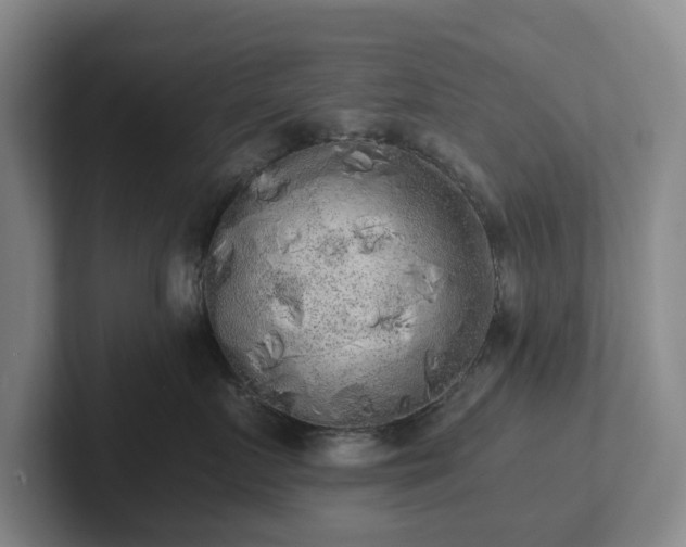 X0000101950719200807251134