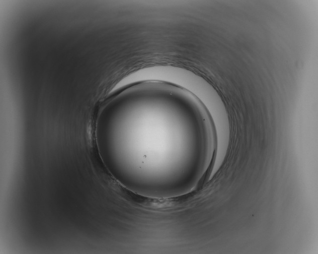 X0000101950720200807251134