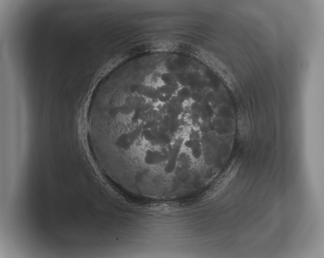 X0000101950721200807251134