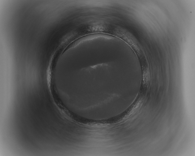 X0000101950722200807251134