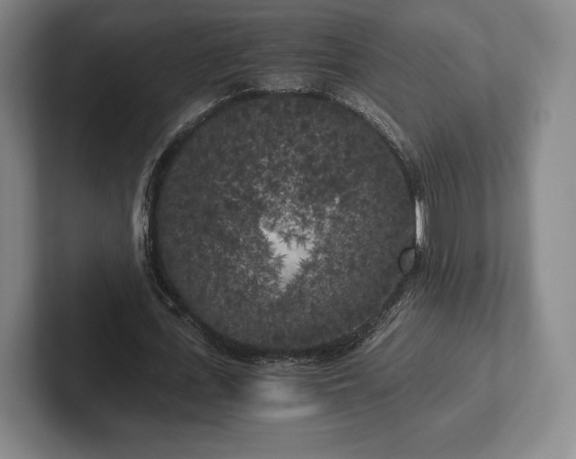 X0000101950723200807251134