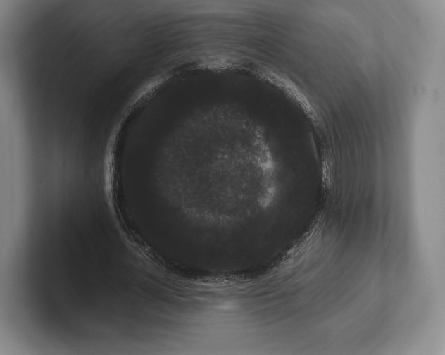 X0000101950724200807251134