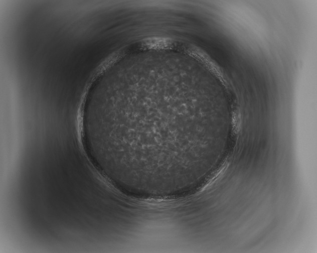 X0000101950725200807251134