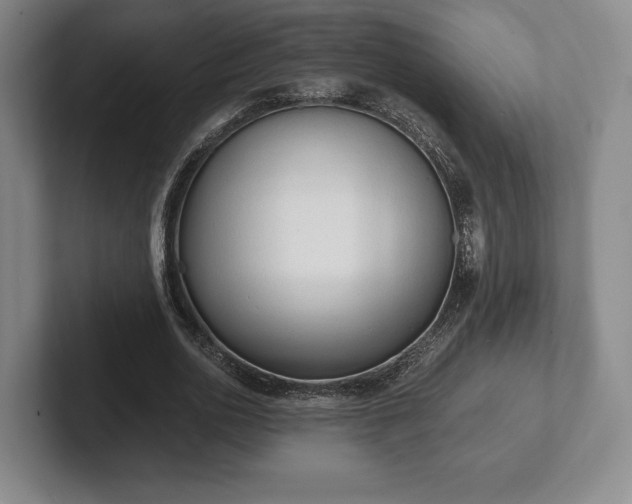 X0000101950726200807251134