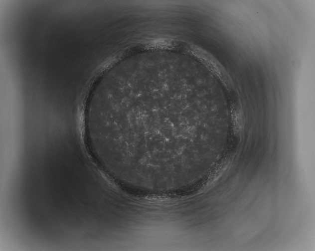 X0000101950729200807251134