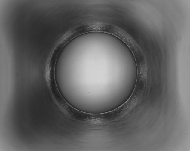 X0000101950730200807251134