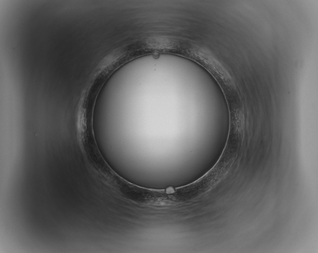 X0000101950731200807251134