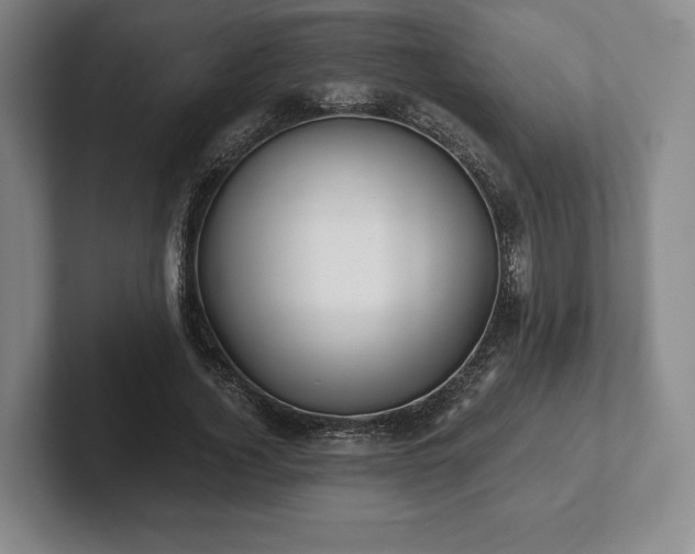 X0000101950732200807251134