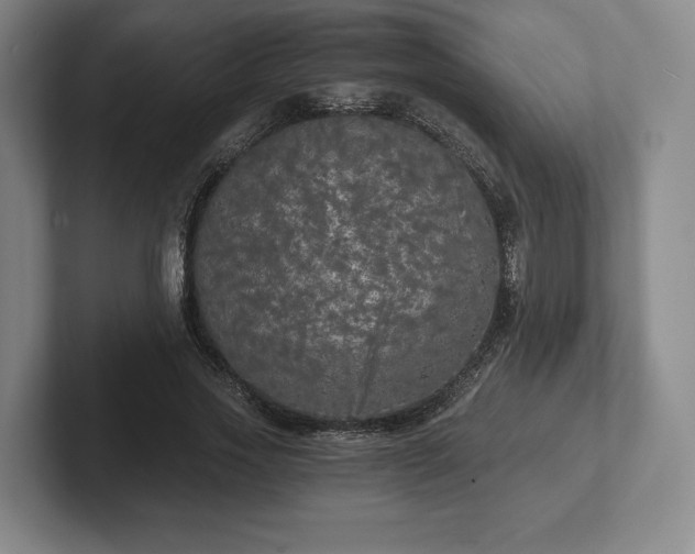 X0000101950733200807251134