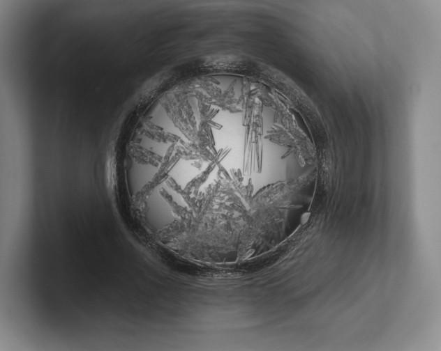 X0000101950734200807251134
