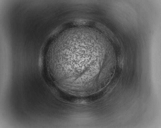 X0000101950735200807251134