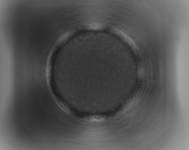 X0000101950736200807251134