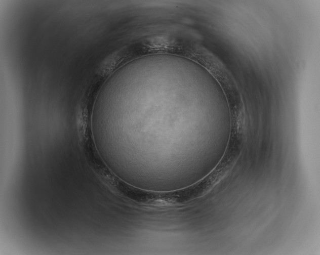 X0000101950737200807251134