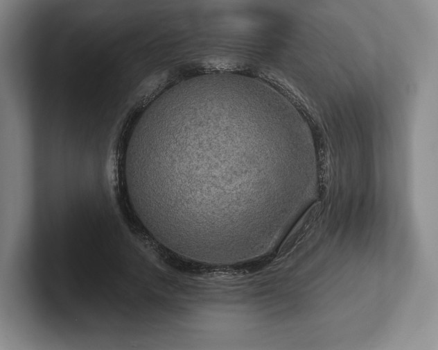 X0000101950738200807251134