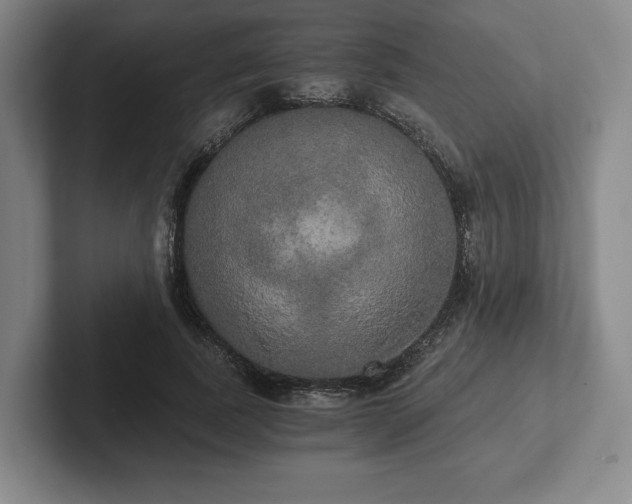 X0000101950739200807251134