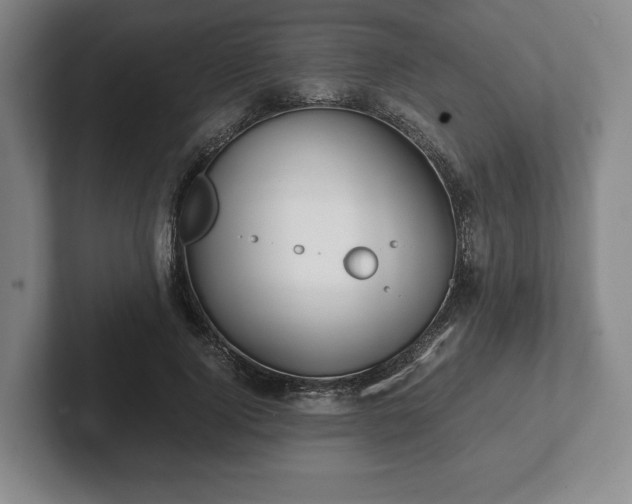 X0000101950740200807251134